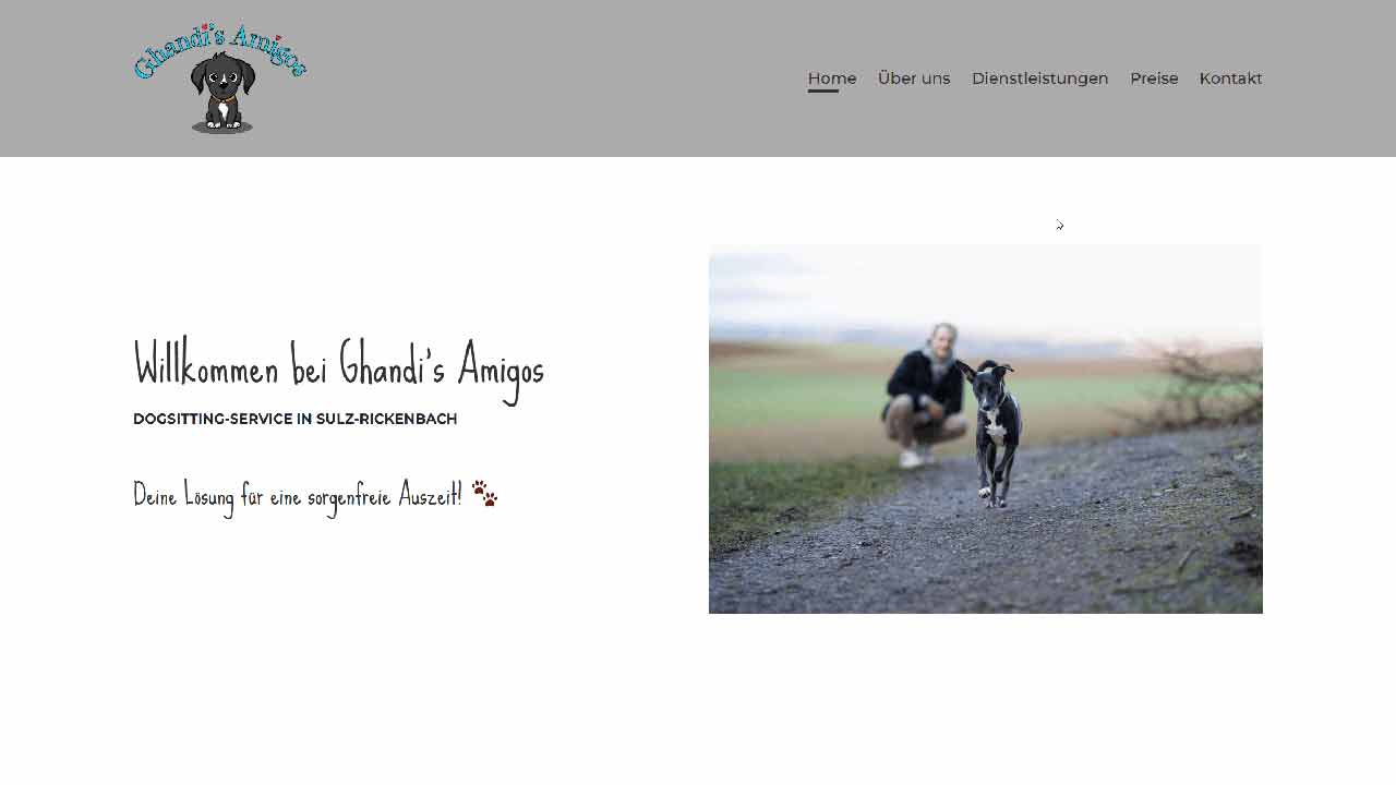Ghandi's Amigos Website Vorschau